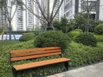 城市绿植中的木质长椅