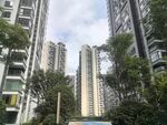 高层住宅被绿植环绕
