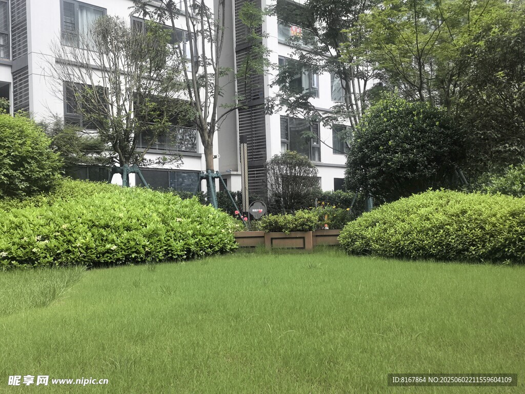 城市中的绿意盎然草坪景观