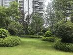 城市中的静谧绿植景观