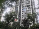高层住宅隐于绿树间