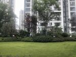 小区内的绿化景观