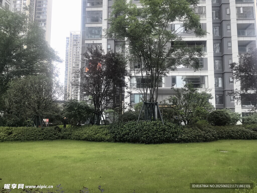 小区内的绿化景观