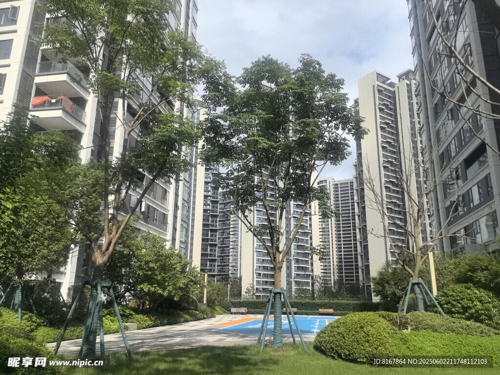 小区内的绿化景观与建筑