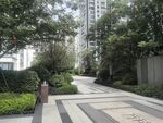 小区内的静谧林荫步道