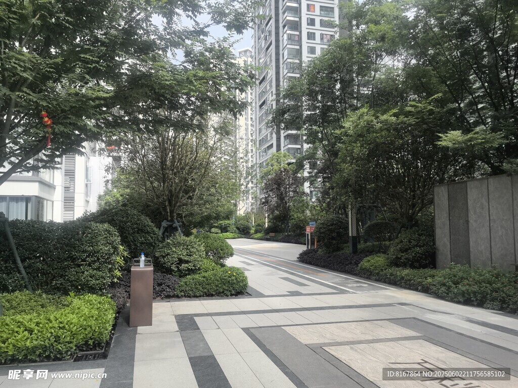小区内的静谧林荫步道