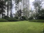 城市中的绿意草坪景观