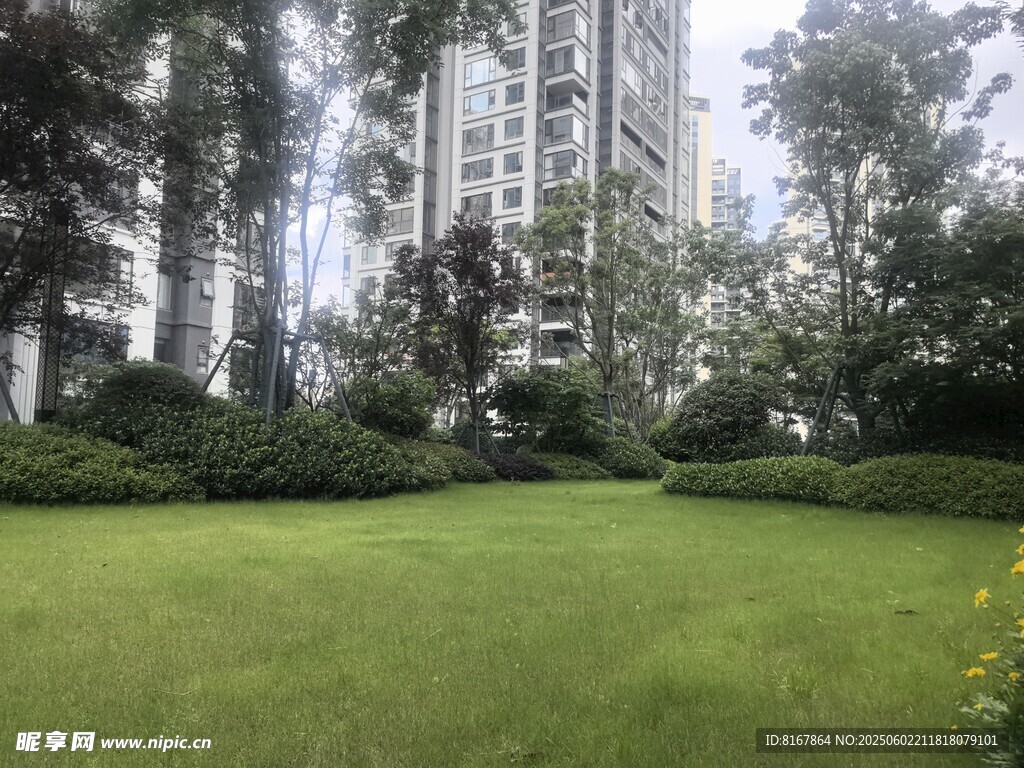 城市中的绿意草坪景观