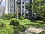 小区内的绿意盎然景观