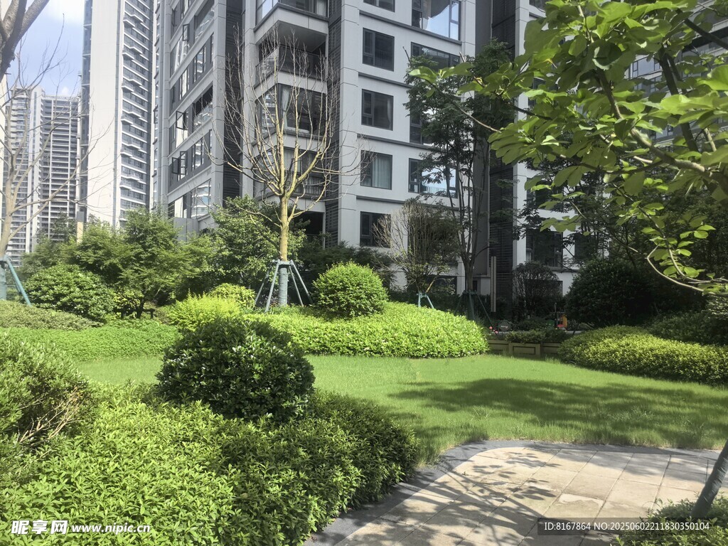 小区内的绿意盎然景观
