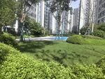 城市中的绿意盎然景观