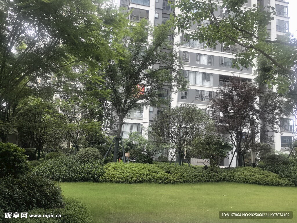 小区内的绿意盎然景观