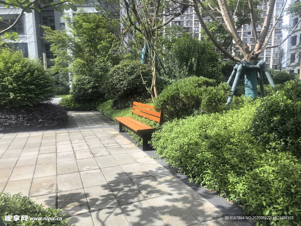 公园中的橙色长椅与绿植