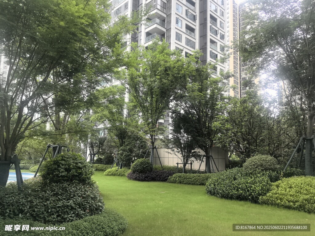 小区内绿意盎然的景观