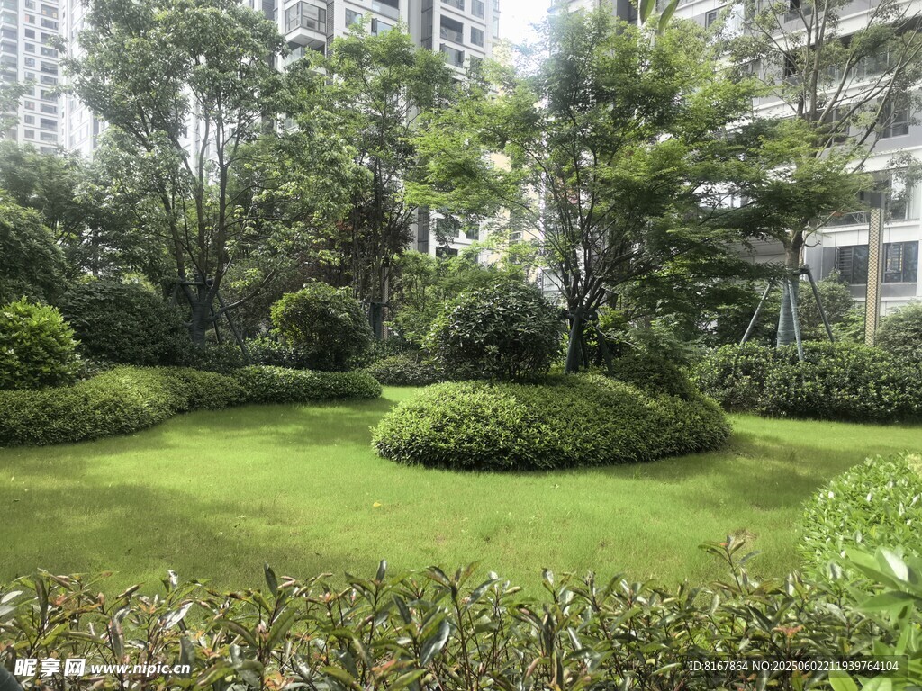 城市中的静谧绿植景观