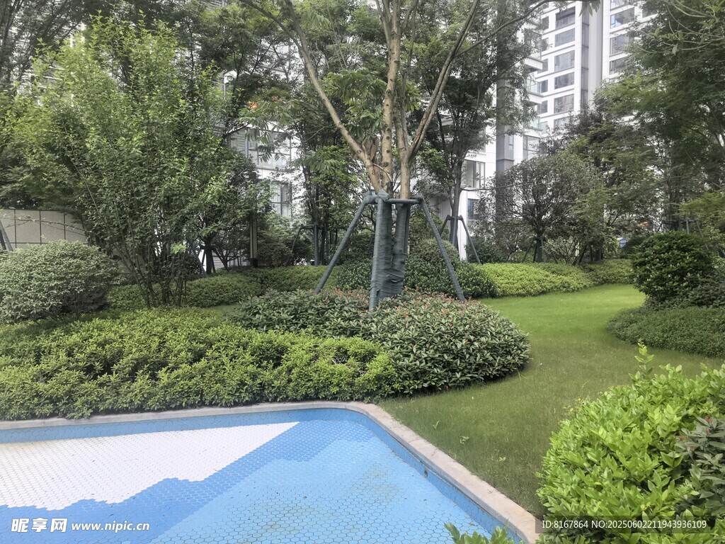 小区内的精致绿化与泳池