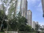 城市高楼与绿树景观