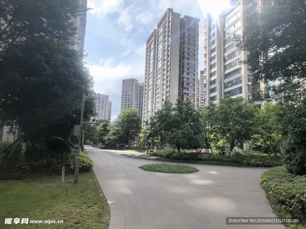 城市中的静谧林荫步道
