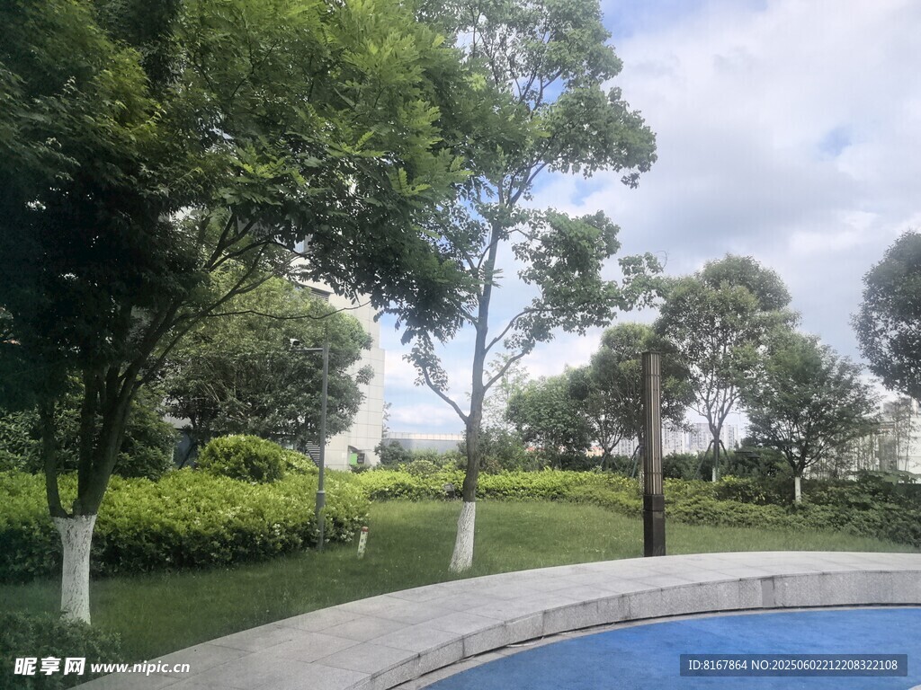 户外泳池旁的绿树景观