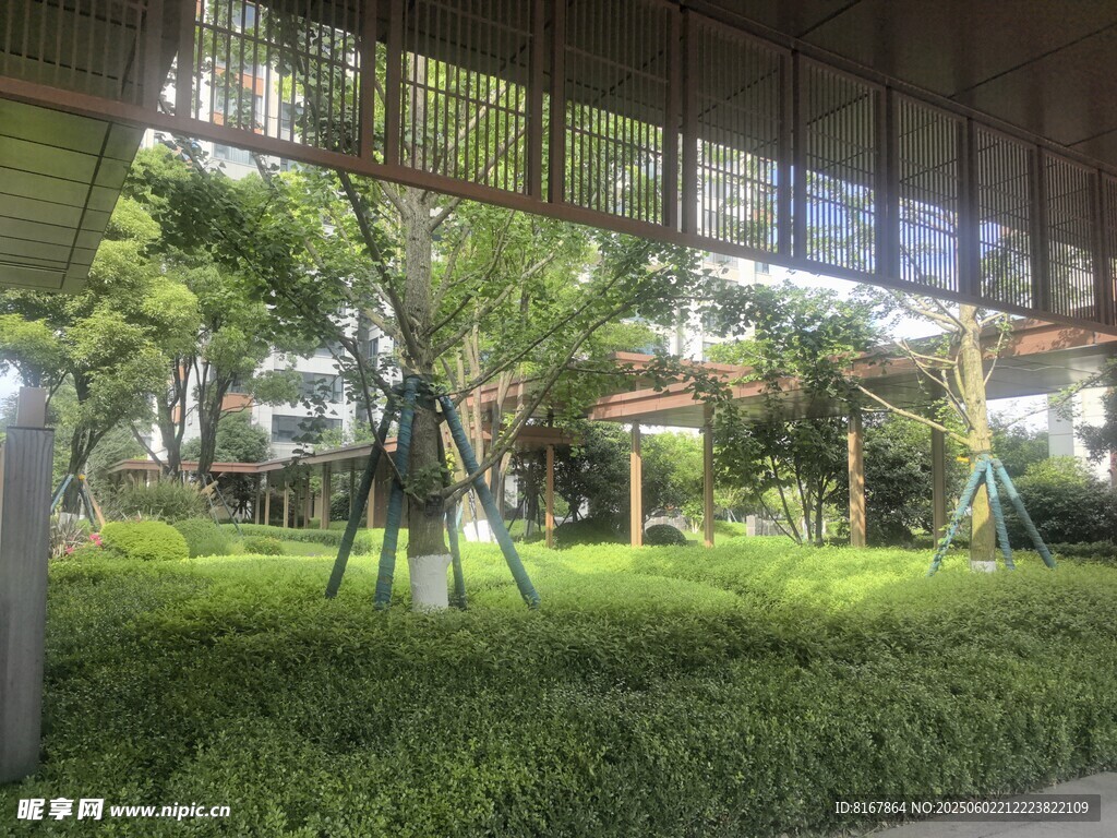 庭院绿植景观