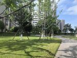 城市中静谧的林荫绿地