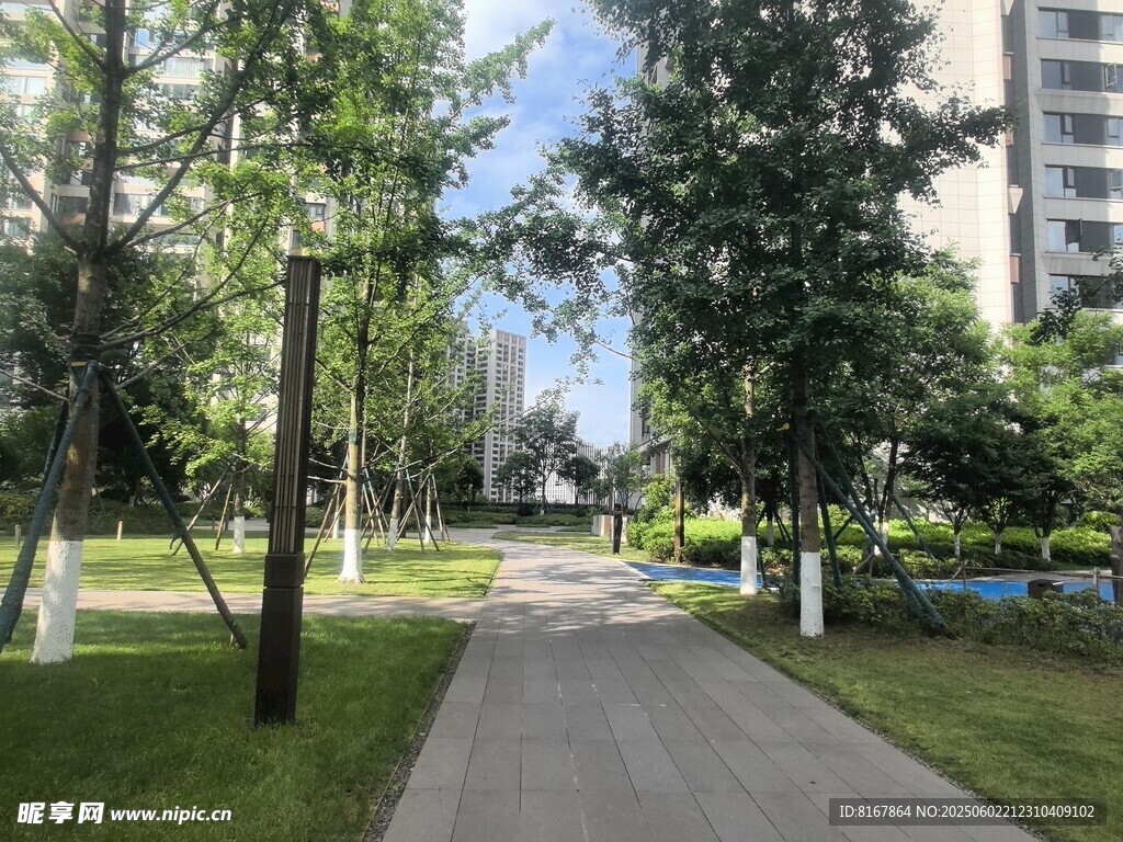 小区内的林荫步道景观