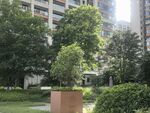 小区内的绿植景观
