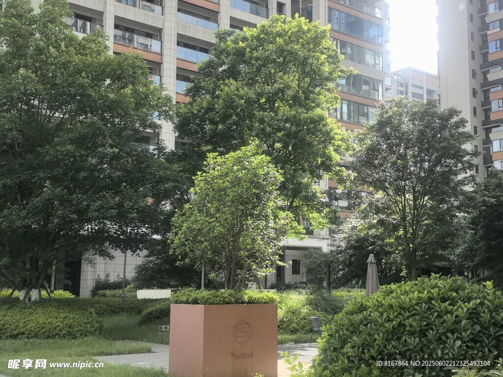 小区内的绿植景观
