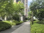 小区林荫小道景观