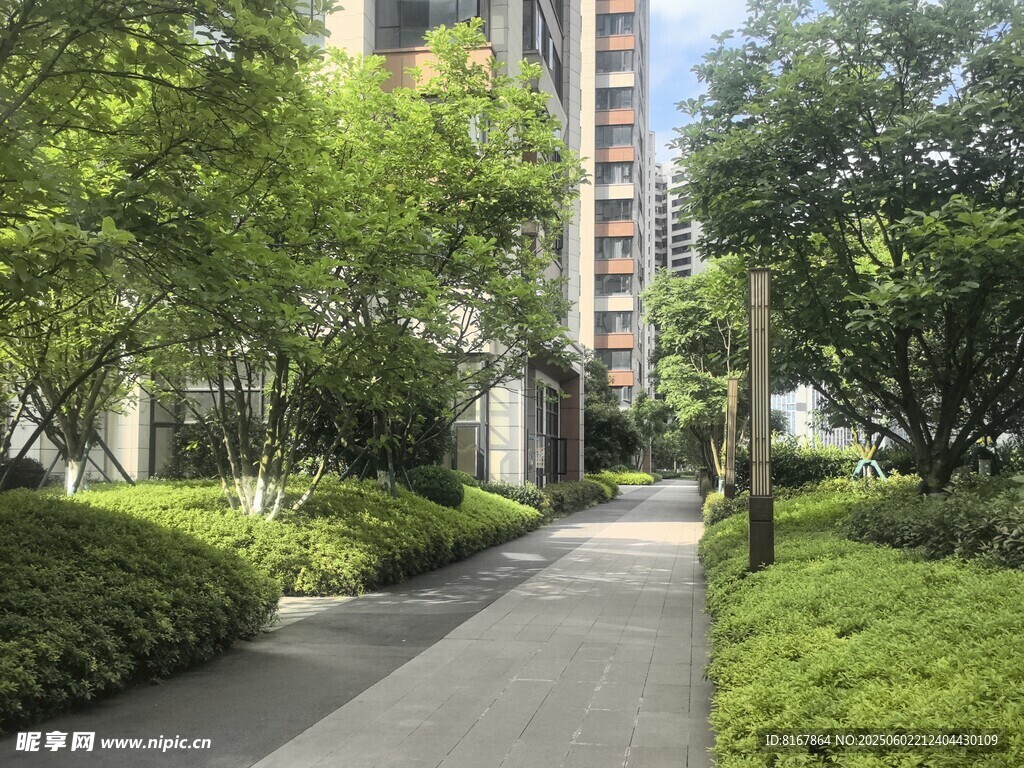 小区林荫小道景观
