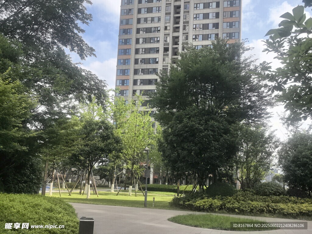 城市公园旁的高楼景观