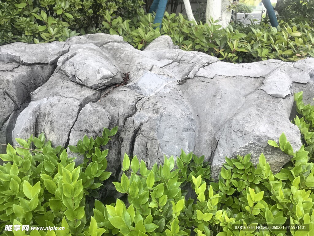 园林假山绿植景观