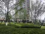 小区内的绿化景观与高楼