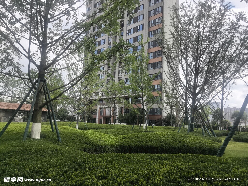 小区内的绿化景观与高楼