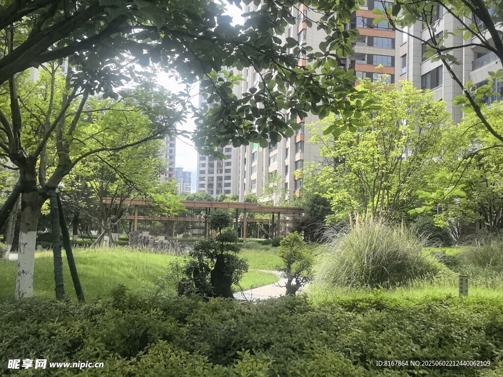 城市中的静谧绿意花园