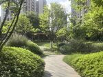 小区内幽静的林荫小径