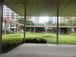 庭院绿植景观廊下视角