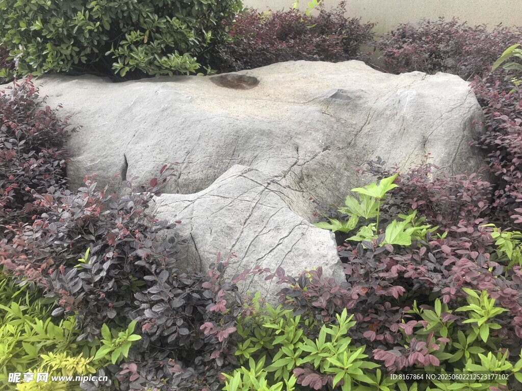 园林景观中的巨石绿植