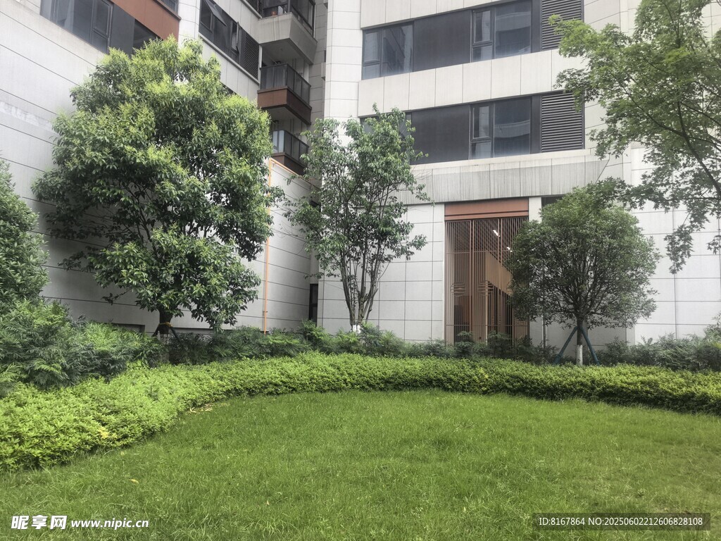 庭院绿植景观