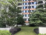 现代住宅旁的绿植景观