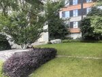 小区绿植景观一角