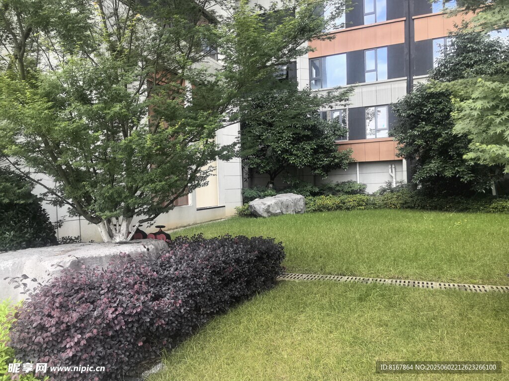 小区绿植景观一角