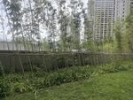 城市中的绿植围栏景观