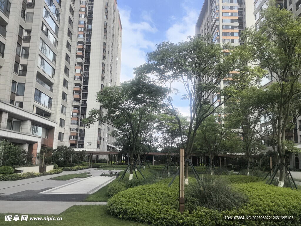 小区内的绿化景观环境