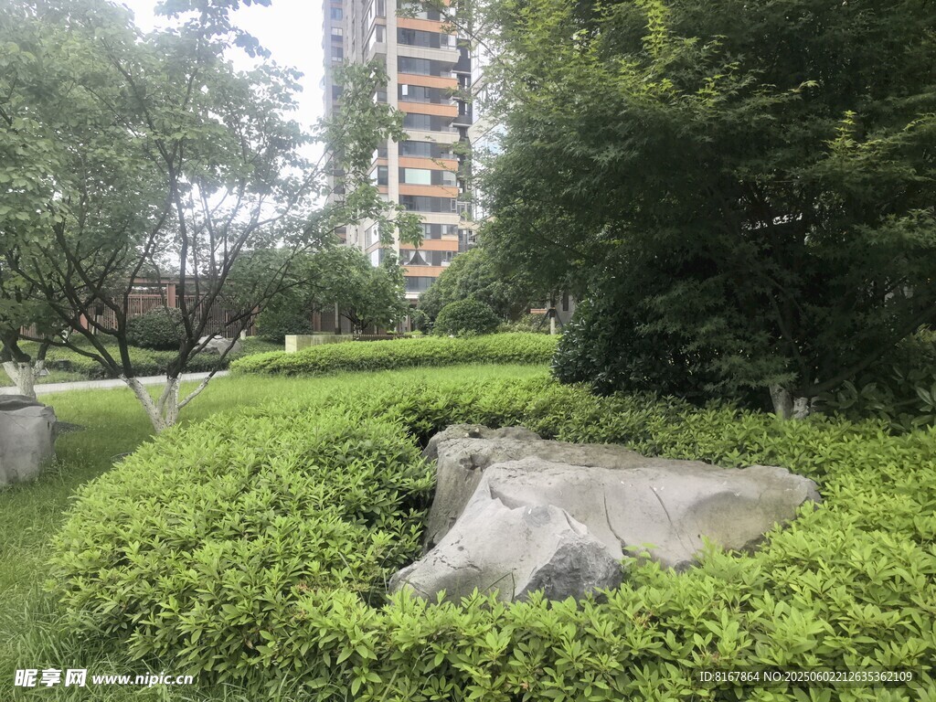 小区内的绿植与景观石