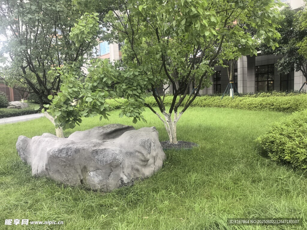 草坪上的巨石与绿树