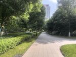 城市林荫小道景观