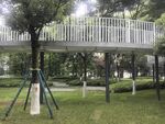 林间悬空步道景观