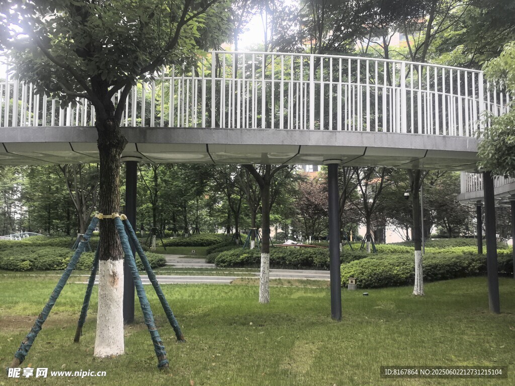 林间悬空步道景观