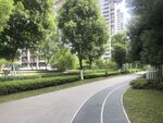 城市中的静谧林荫步道